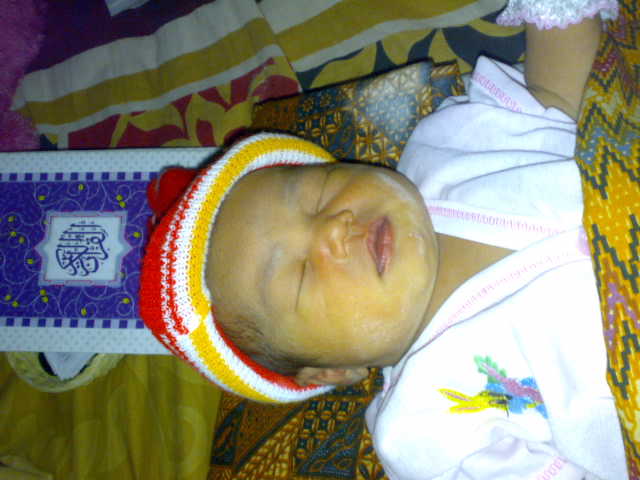 pasang gambar di samping text